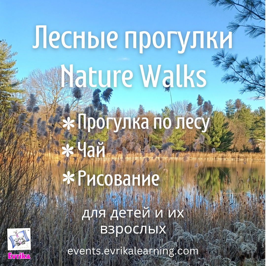 Лесные прогулки. Nature Walks