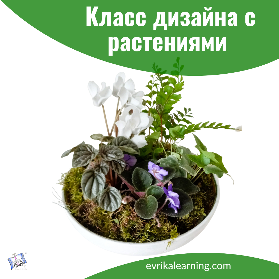 Darien. Дизайн растений. Plant basket design